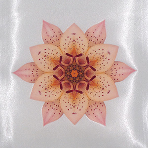 Heat Transfer Logo on Satin