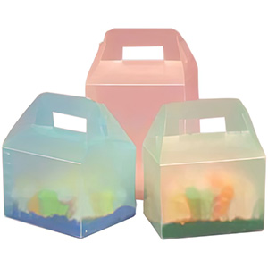 Transluzente Kunststoffbox für Geschenk